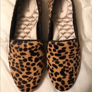 Birdies Cheetah The Starling